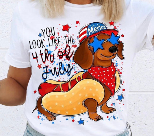 Patriotic Dachshund
